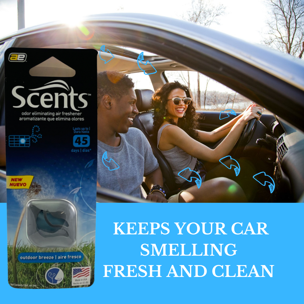 Car Air Fresheners: Odor Eliminator, Auto Deodorizer, Long-Lasting Smoke  Smell